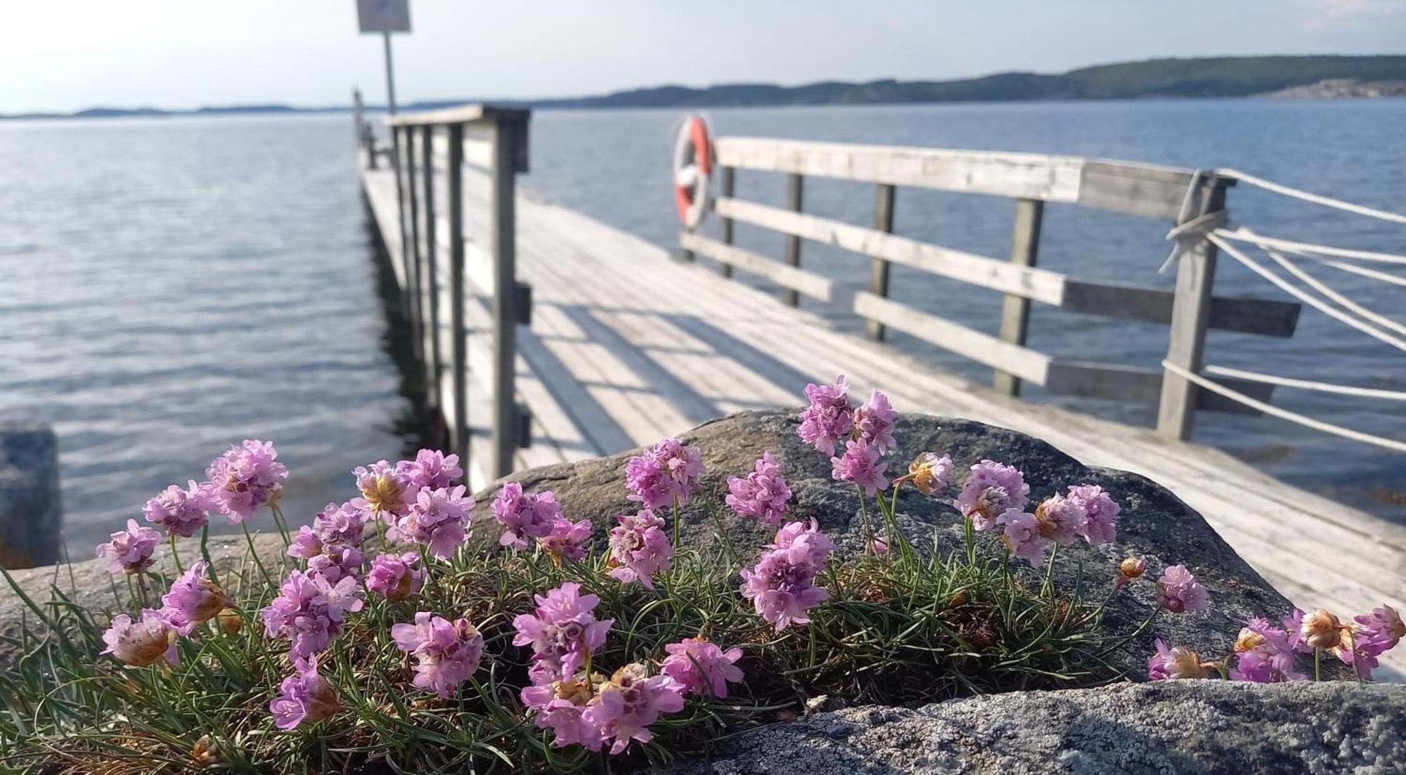 Tofte Guesthouse Naera Hav, Bad Och Marstrand Lycke Ngoại thất bức ảnh